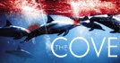 The Cove