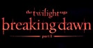 The Twilight Saga: Breaking Dawn - Part.1